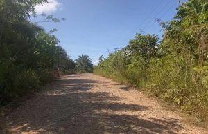 Prioritas Pembangunan di Kecamatan Kota Bangun Darat: Memperbaiki Infrastruktur Jalan Utama