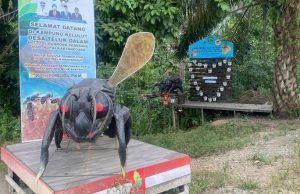 Madu Kelulut Teluk Dalam Siap Menyengat Pasar Nasional