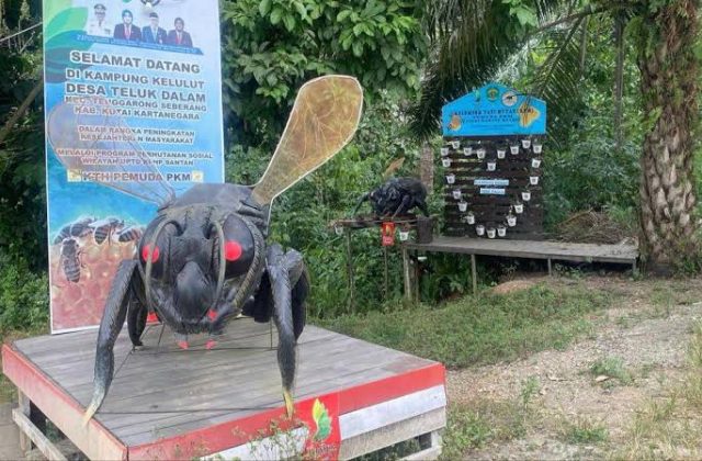 WhatsApp Image 2025-06-29 at 12.21.05