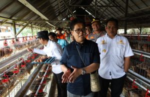 BUMDes Batuah Prima Mandiri Resmikan Peternakan Ayam Petelur, Wabup Rendi Apresiasi Inovasi Desa