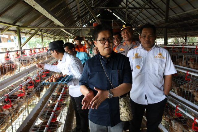 WhatsApp Image 2025-10-17 at 14.12.20