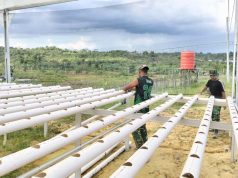 Mulawarman IFS Kembali Gairahkan Budidaya Hidroponik untuk Ketahanan Pangan