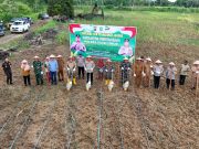 Polres Kutim Bersama PT KPC Ubah Lahan Bekas Tambang Jadi Lumbung Jagung