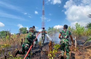 Gerak Cepat! Prajurit Brigif TP 85 Bersama Warga Berhasil Padamkan Karhutla di Kutai Barat.