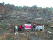 Kemenhut Bekukan Izin Usaha Kehutanan Akibat Kebakaran Lahan Berulang, 6 Perusahaan Dikenai Sanksi Terkait Karhutla Kemenhut Bekukan Izin Usaha Kehutanan Karena Kebakaran Berulang, 6 Perusahaan dikenai Sanksi Terkait Karhutla