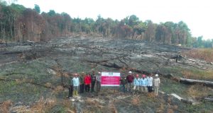 Kemenhut Bekukan Izin Usaha Kehutanan Karena Kebakaran Berulang, 6 Perusahaan dikenai Sanksi Terkait Karhutla