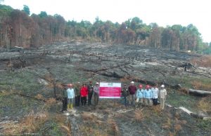 Kemenhut Bekukan Izin Usaha Kehutanan Karena Kebakaran Berulang, 6 Perusahaan dikenai Sanksi Terkait Karhutla