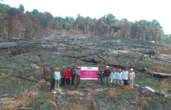 Kemenhut Bekukan Izin Usaha Kehutanan Karena Kebakaran Berulang, 6 Perusahaan dikenai Sanksi Terkait Karhutla