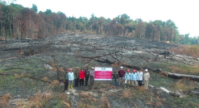 Kemenhut Bekukan Izin Usaha Kehutanan Karena Kebakaran Berulang, 6 Perusahaan dikenai Sanksi Terkait Karhutla
