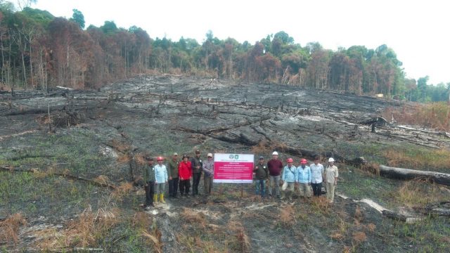 Kemenhut Bekukan Izin Usaha Kehutanan Karena Kebakaran Berulang, 6 Perusahaan dikenai Sanksi Terkait Karhutla Kemenhut Bekukan Izin Usaha Kehutanan Karena Kebakaran Berulang, 6 Perusahaan dikenai Sanksi Terkait Karhutla