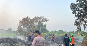 5 Hektare Belukar Terbakar! Polisi dan BPBD Berjibaku Padamkan Karhutla di Sangatta Utara