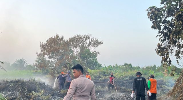 5 Hektare Belukar Terbakar! Polisi dan BPBD Berjibaku Padamkan Karhutla di Sangatta Utara
