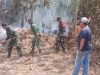 Bersatu Lawan Api, Babinsa Bersama BPBD dan Manggala Agni Padamkan Karhutla Babinsa Bersama BPBD dan Manggala Agni Padamkan Karhutla di Kutai Kartanegara