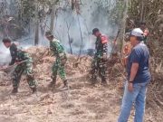 Bersatu Lawan Api, Babinsa Bersama BPBD dan Manggala Agni Padamkan Karhutla Babinsa Bersama BPBD dan Manggala Agni Padamkan Karhutla di Kutai Kartanegara