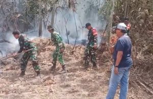 Bersatu Lawan Api, Babinsa Bersama BPBD dan Manggala Agni Padamkan Karhutla Babinsa Bersama BPBD dan Manggala Agni Padamkan Karhutla di Kutai Kartanegara