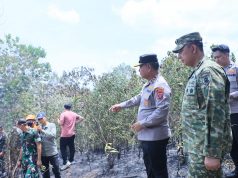 Sinergi dan Respons Cepat Jadi Kunci Penanganan Karhutlah Semakin Terkendali di Kaltim dan Kaltara Pandam VI/Mulawraman Berama Kapolda Kaltim Terjun Langsung Penanganan Karhutla di Kaltim dan Kaltara