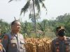Kapolresta Samarinda pastikan siap Panen Jagung bersama Kapolda Kaltim