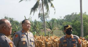 Kapolresta Samarinda pastikan siap Panen Jagung bersama Kapolda Kaltim