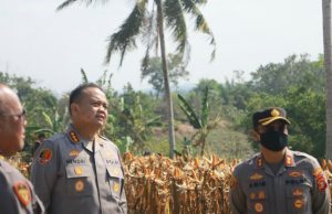 Kapolresta Samarinda pastikan siap Panen Jagung bersama Kapolda Kaltim