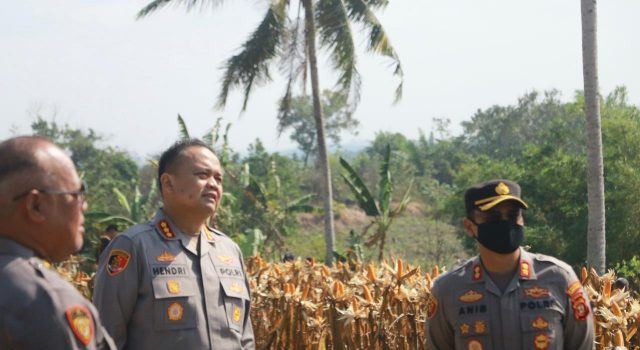 Kapolresta Samarinda pastikan siap Panen Jagung bersama Kapolda Kaltim