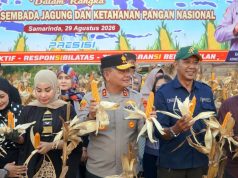 Bersama Warga, Kapolda Kaltim, Irjenpol Endar Priantoro panen Jagung