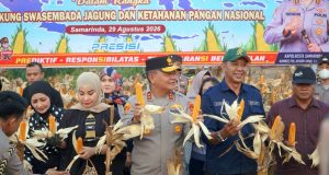 Bersama Warga, Kapolda Kaltim, Irjenpol Endar Priantoro panen Jagung