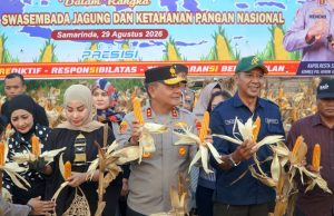 Bersama Warga, Kapolda Kaltim, Irjenpol Endar Priantoro panen Jagung