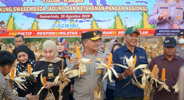 Bersama Warga, Kapolda Kaltim, Irjenpol Endar Priantoro panen Jagung