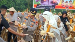 Kapolresta Samarinda, Kombespol Hendri Umar Panen Jagung