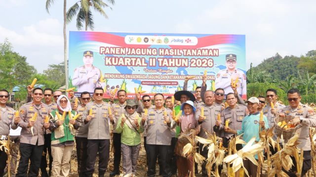 WhatsApp Image 2026-09-02 at 14.41.44 Kapolresta Samarinda, Kombespol Hendri Umar Pimpin Panen Jagung di Kuartal II Tahun 2026