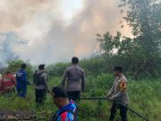 Tim Gabungan bersama Polsek Palaran Padamkan Kebakaran Lahan di Rawa Makmur