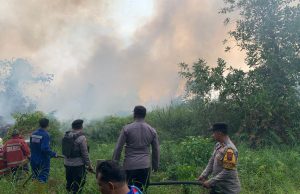 Tim Gabungan bersama Polsek Palaran Padamkan Kebakaran Lahan di Rawa Makmur