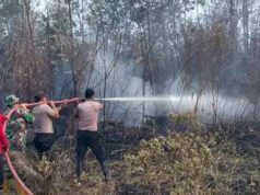 Kebakaran Lahan Tembus 2.400 Hektar di Kukar, Bupati Aulia Minta Pelaku Pembakaran Ditindak Tegas